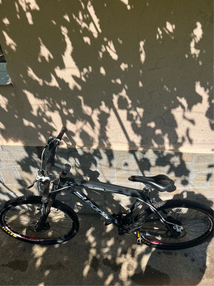 Sprint Apolon, Leader