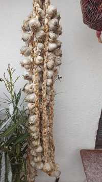 Български чесън за садене