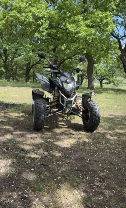 Quadzilla 300 xlc stinger