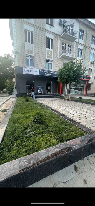 Газон екамиз таййор ва уруґдан