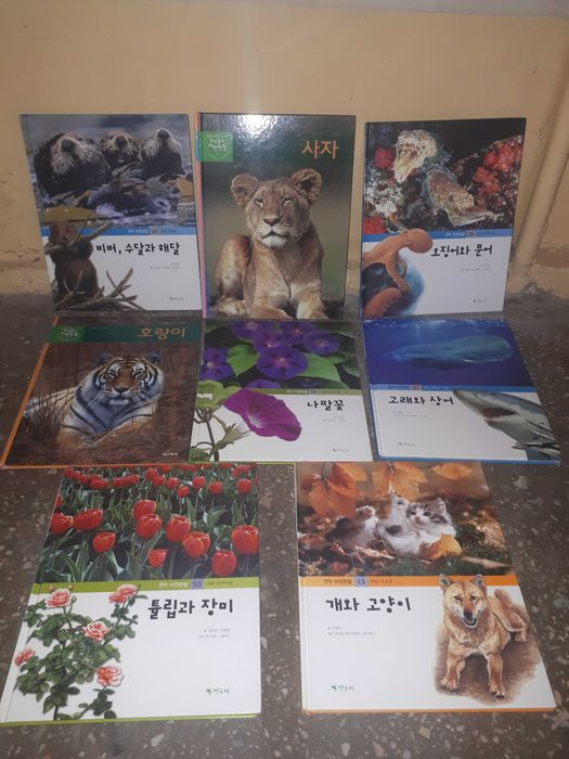Познавательные обучающие книги на корейском языке