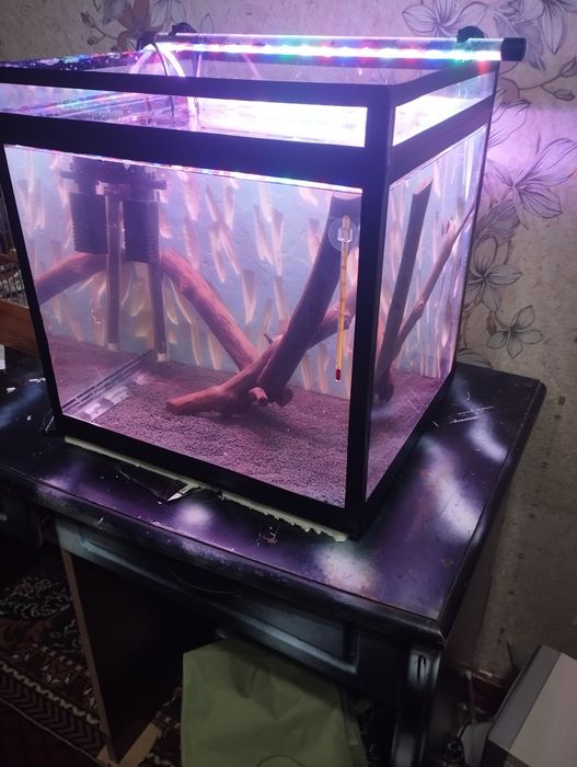 55litrli Akvarium sotiladi