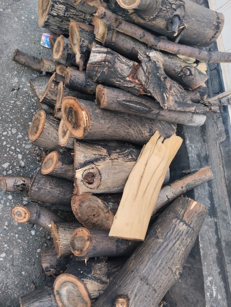 дрова продам орех 3 куба