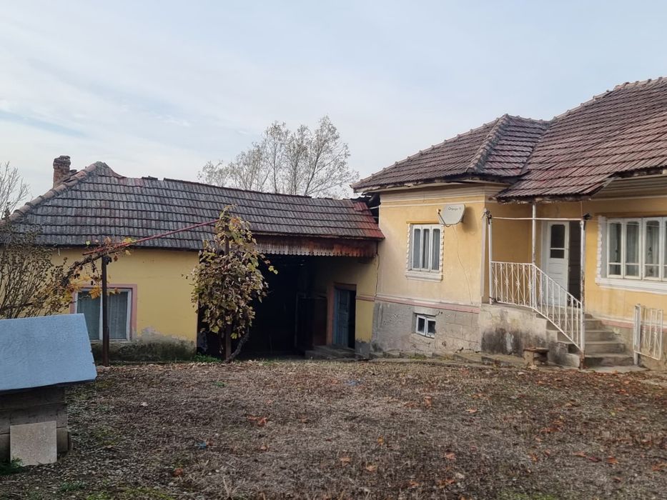 Casa + teren 6000mp, livada, vie - Sat Dumbraveni