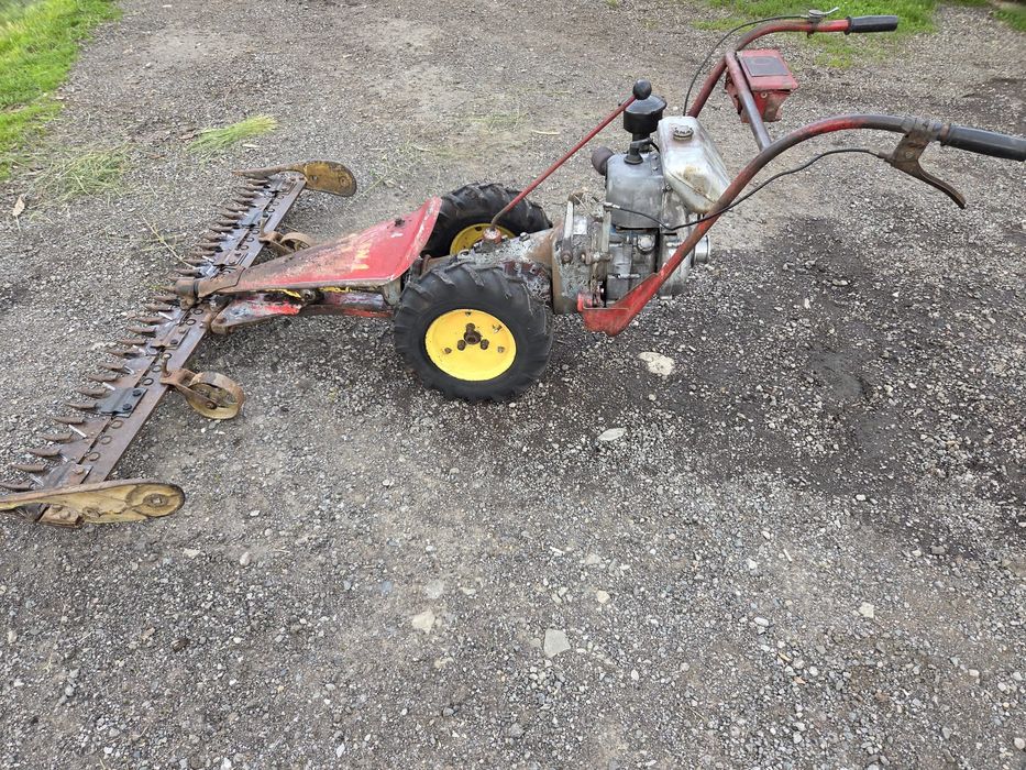 Vand cositoare carpatina in stare foarte buna