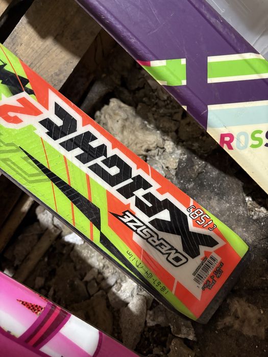 Schiuri adulti si copii