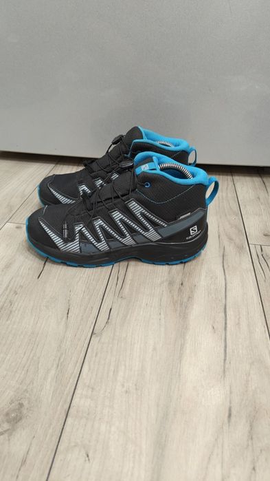 Salomon Nr   37 .