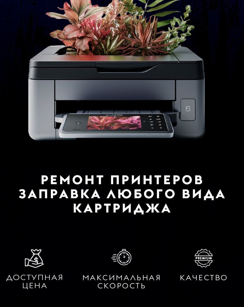 Заправка картриджа / Ремонт принтеров / Установка ОС виндоус