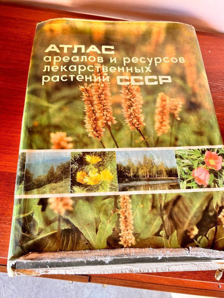 Книга, сумки, лак, плойка