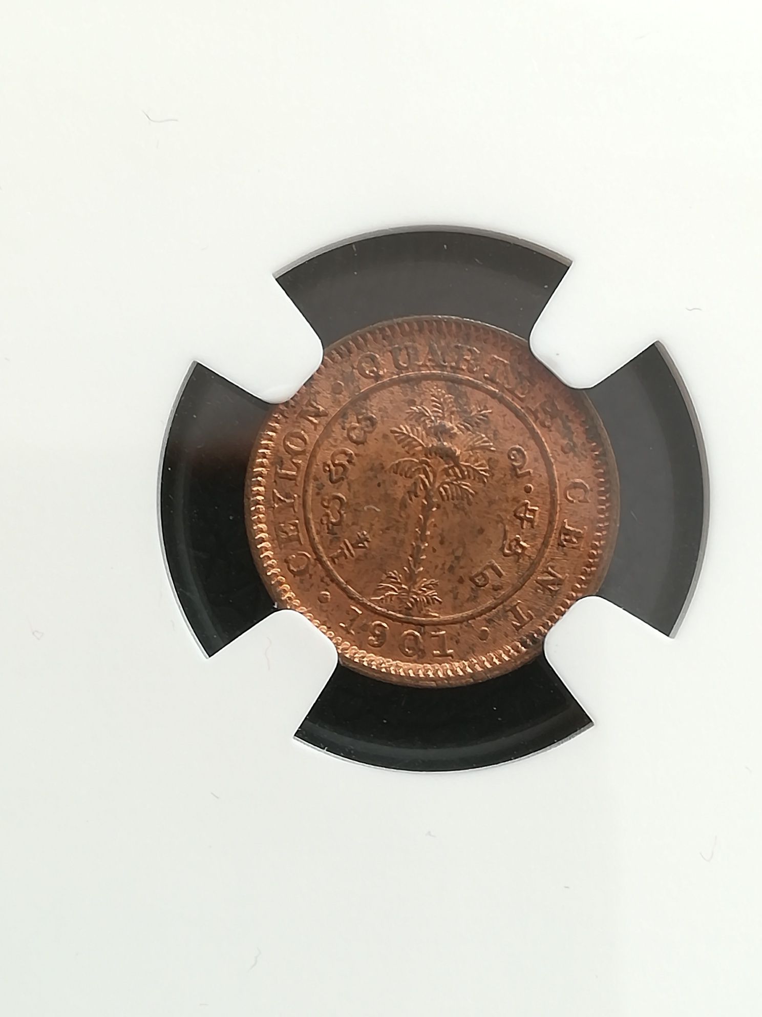 1/4 цент 1901 Британски Цейлон NGC MS63 RB