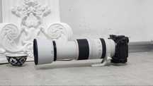 Canon RF 100-500MM F4.5-7.1 L IS USM