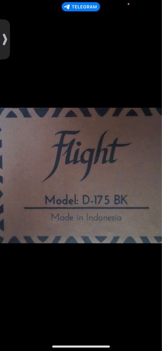 Flight  d-175 bk
