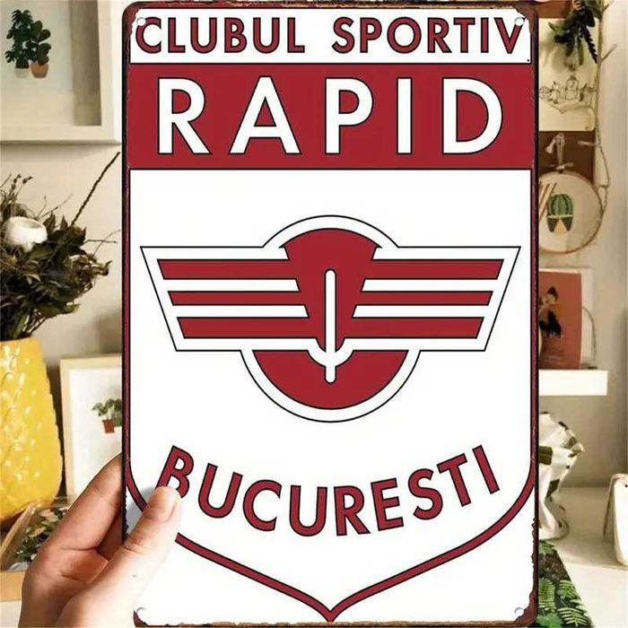 Placa metalica 30/20 cm