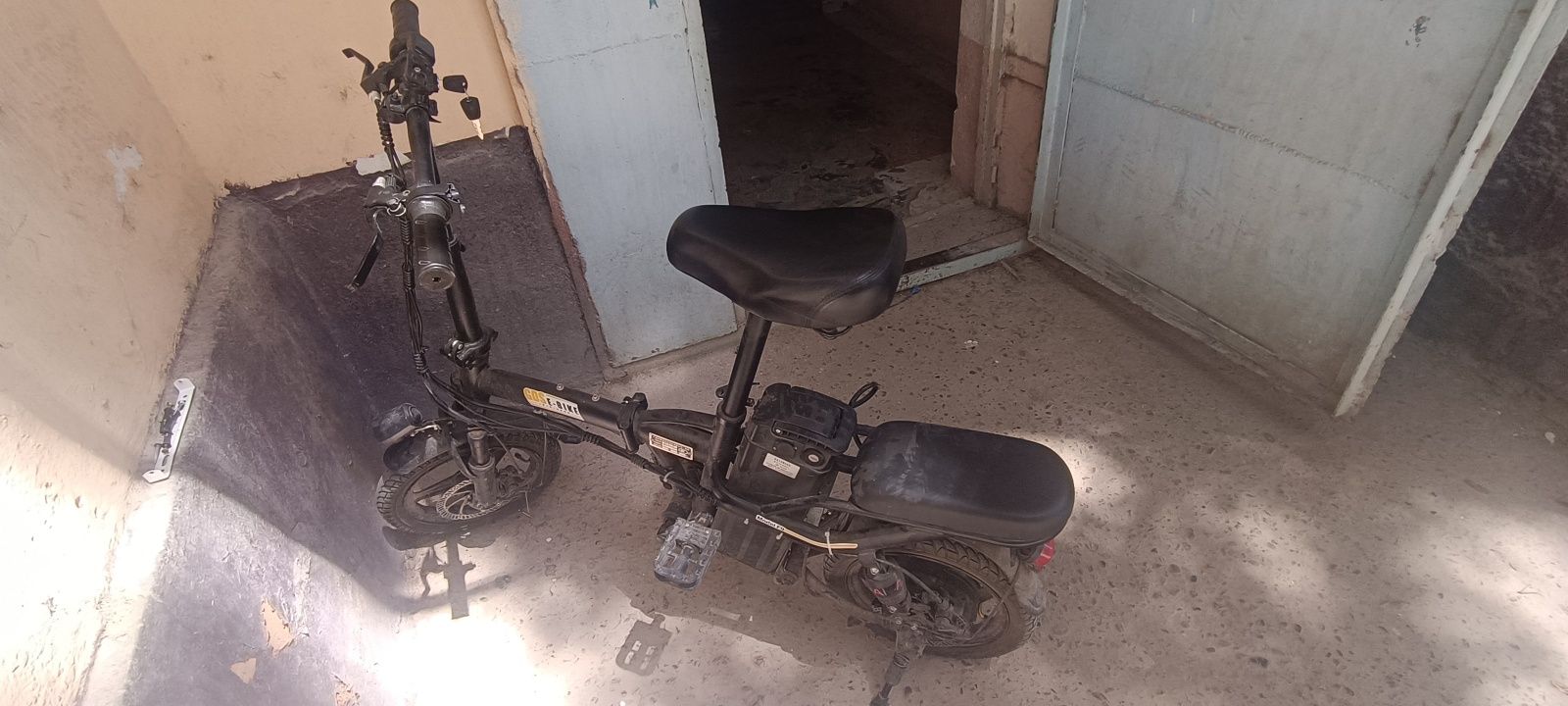 Electronic velocipede