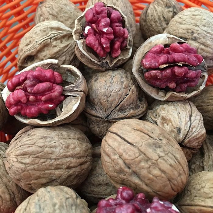 Pomi fructiferi deosebiti  nuc cu miezul rosu