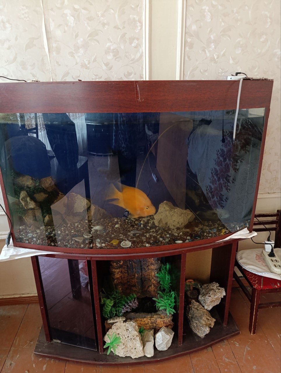 Akvarium va baliqlar sotiladi