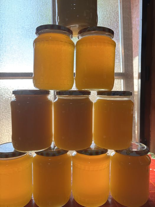 Miere poliflora si floarea soarelui