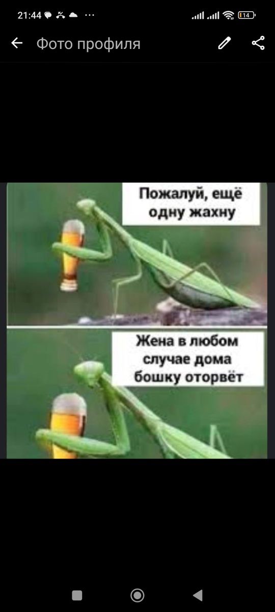 Мем хз зачем вам это нужно
