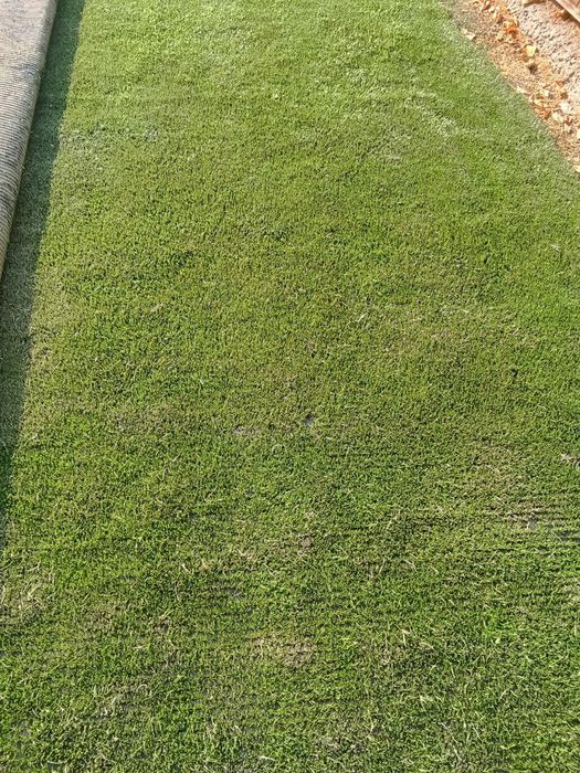 Gazon suniy xovli va bog'chalarga