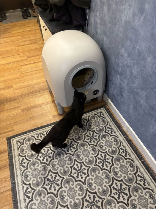 Автоматический лоток/ туалет-домик