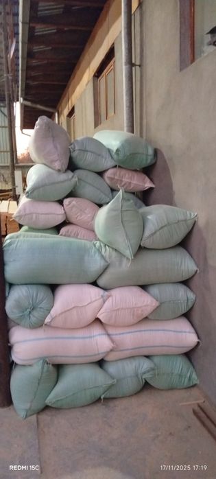 Apilka bor sotiladigan