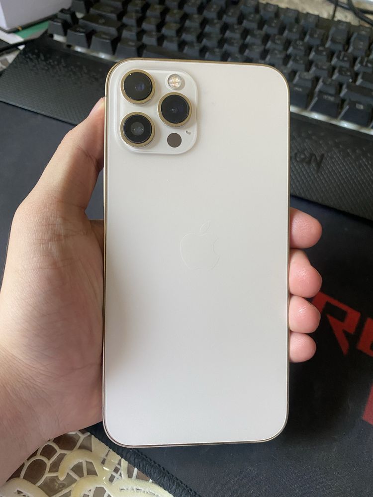 Iphone 12 pro max