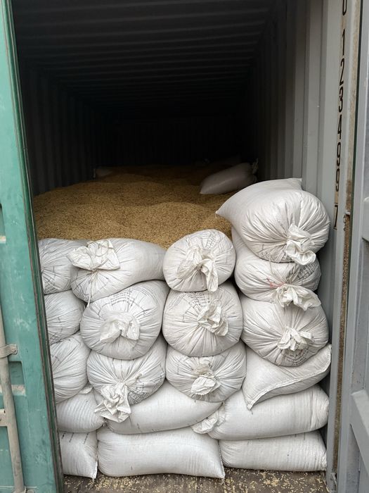 Arpa ячмень (ychmen)