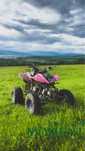 Vând atv bashan 250cc