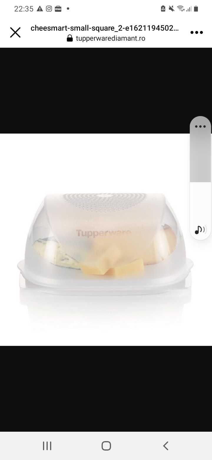 Suport branzeturi tuppenware Cheesesmart