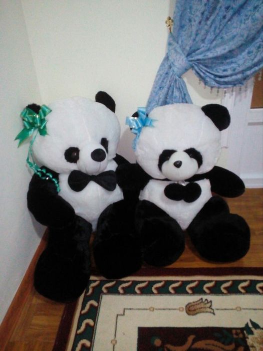 Yangi ayiqlar yumshoqqina