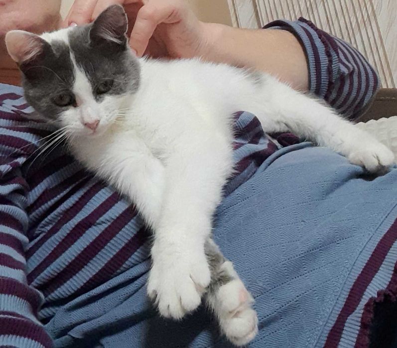 Кая и Мони търсят дом