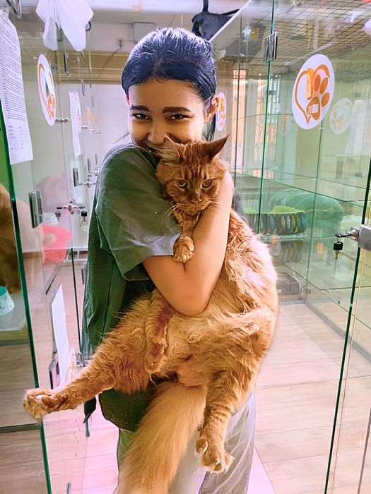 Передержка кошек котов собак зоогостиница. Отель гостиница Астана