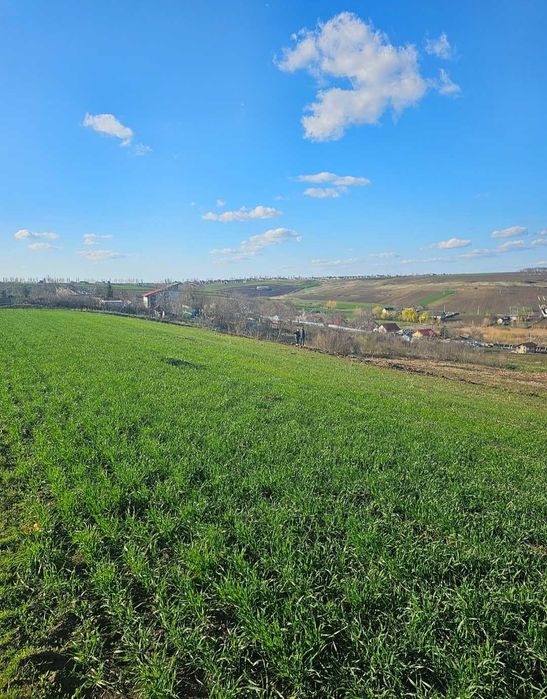 Teren ideal pentru construcția unei case, comuna Miroslava, Proselnici