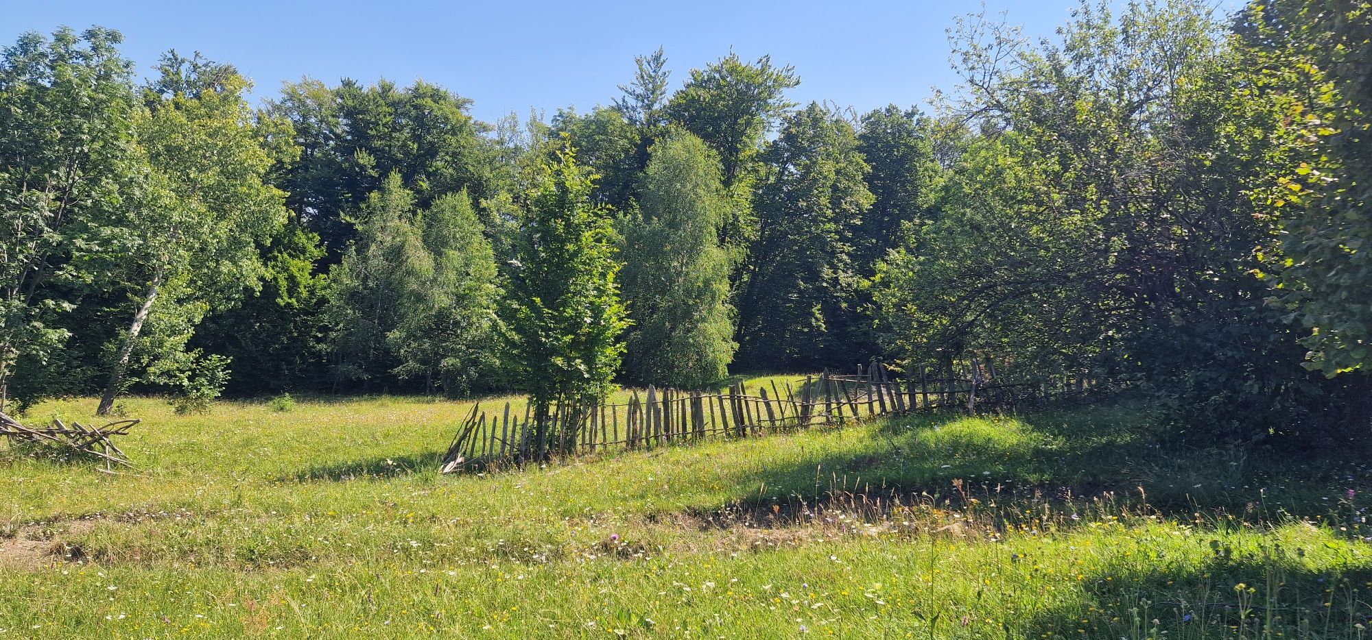 Teren Talea-Breaza lângă pădure