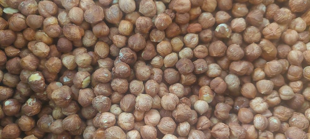 Лешник ядка,реколта 2025г.