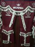 Универсални пердета за камиони Scania,DAF,Mercedes