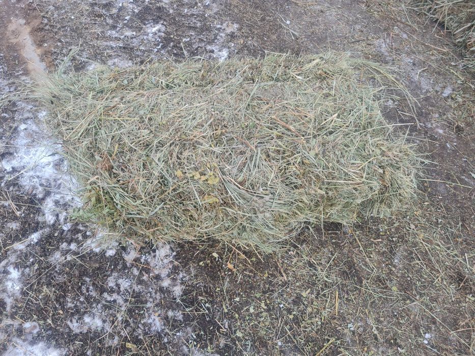 Продам сено в тюках 
ЛУГОВОЕ 
ВЕС от 22 до 25 кг
Цена 900 
Сено как на