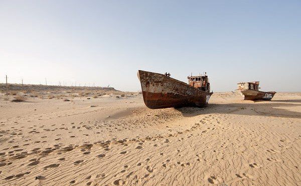 Озеленение пустынь, рекультвация сельхоз земель  и многое другое!