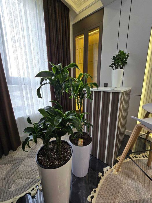 АВТОРСКИЙ ПРОЕКТ‼️Квартира в Darkhan Avenue 2/2/12 54м2 ор-р Дархан