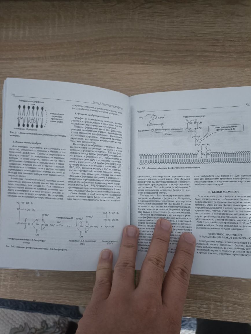 Биохимия Северин 5-е издание. Медицинская литература.