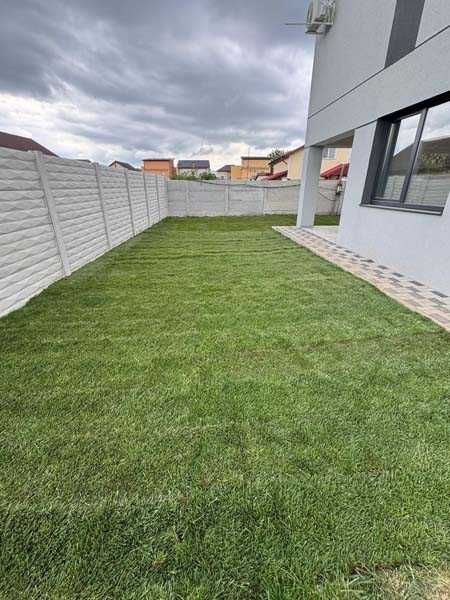 Serviciu de montaj gazon natural si rulou