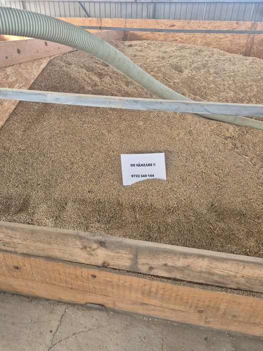 Vând orz 1 leu/kg ,ovăz 1,5 lei / kg