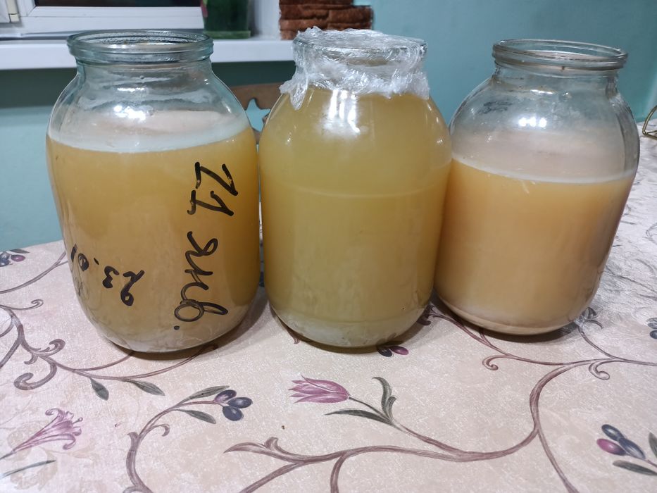 Продам домашний яблочный уксус