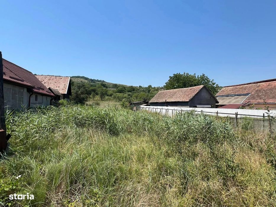 Teren de vanzare Deleni