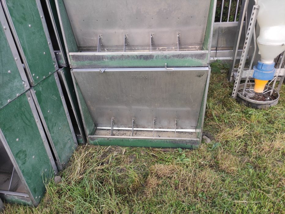 Hranitoare porci boxa fatare