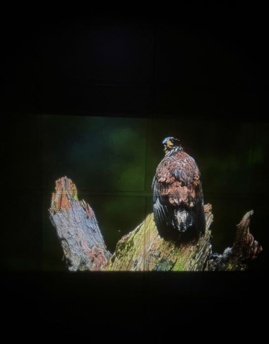 Wifi проектор с звук и дистанционно