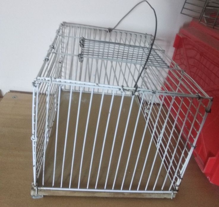Клетки для грызунов и птиц разных размеров
