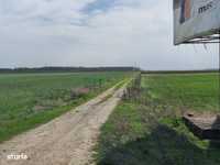 Branesti DN 3 intravilan 30.000 mp - destinatie industriala