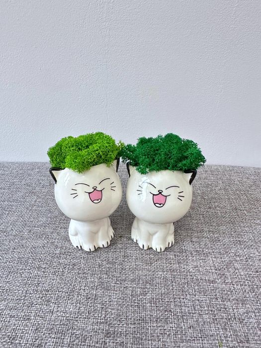 Cadou Figurine pisica licheni stabilizati