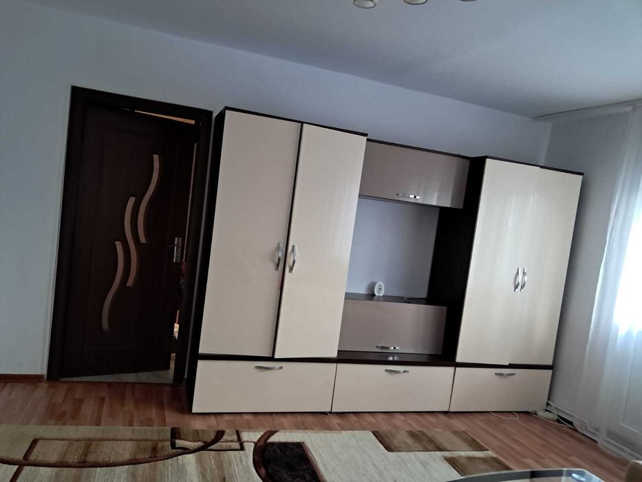 Apartament deosebit cu vedere panoramică, 2 camere, etaj 3 –Vitrometan